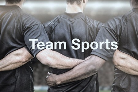 Team Sports market insights